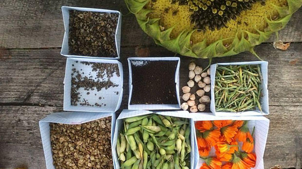 Abundant harvests and Hatha Yoga